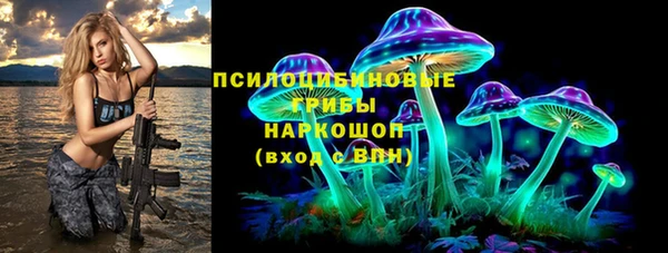 дживик Абинск