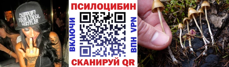 Галлюциногенные грибы Cubensis  Вытегра 