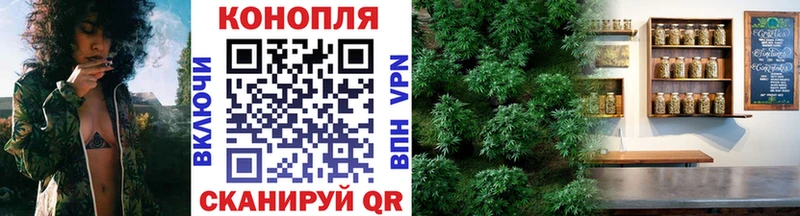 Канабис VHQ  продажа наркотиков  Вытегра 
